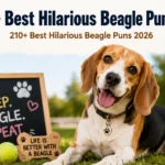 Best Hilarious Beagle Puns